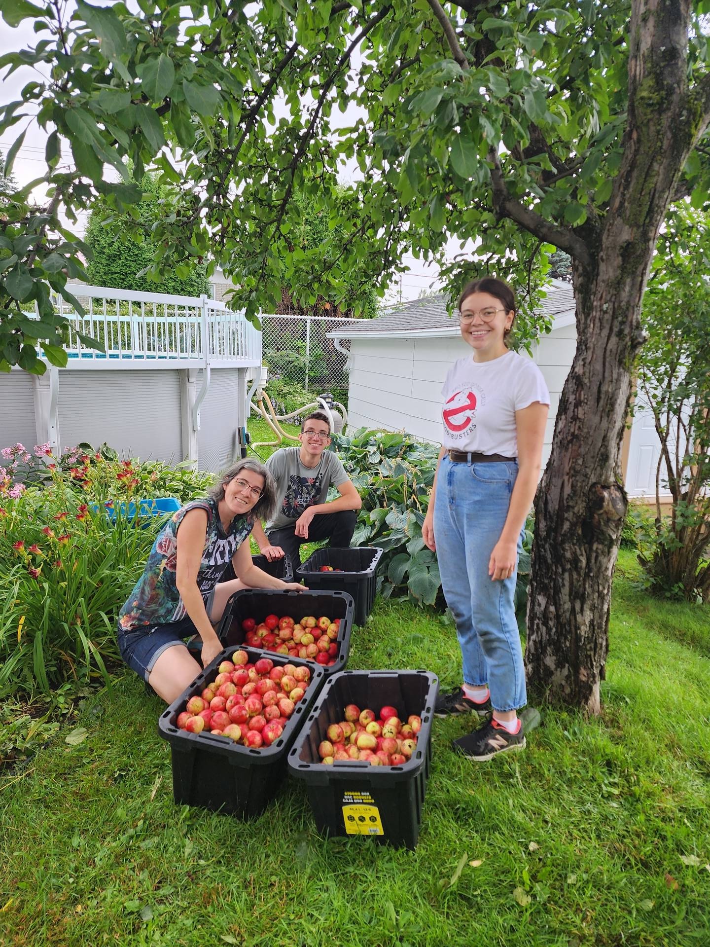 Photo de Karine Routhier et Les Butineurs récoltants des pommes